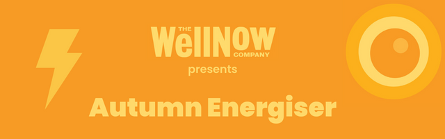 The WellNow Co Autumn Energiser